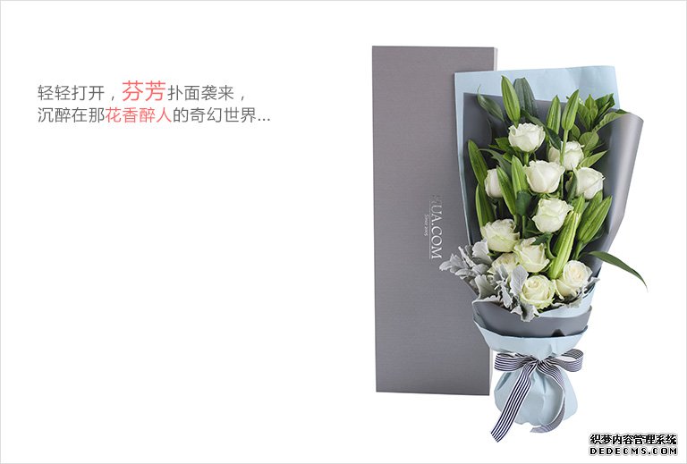 索尼E50镜头评测——中文字幕乱码av二区三区，摄影爱好者的新宠，艺术视觉的微观世界