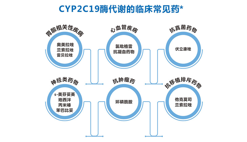单反婚礼镜头——，捕捉幸福瞬间的艺术与技术